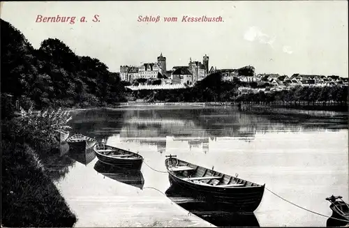 Ak Bernburg an der Saale, Schloss vom Kesselbusch aus gesehen