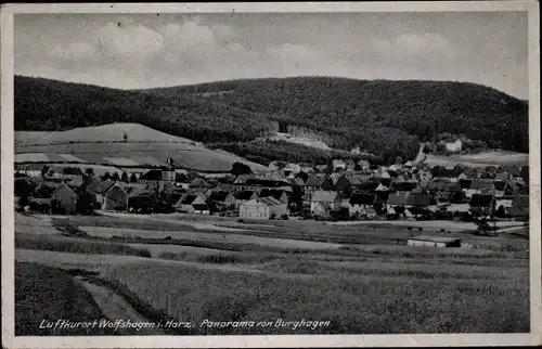 Ak Wolfshagen Langelsheim am Harz, Panorama von Burghagen