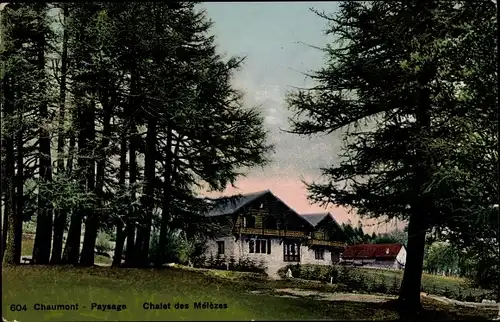 Ak Neuenburg Kanton Neuenburg, Hausberg Chaumont, Paysage, Chalet des Melezes