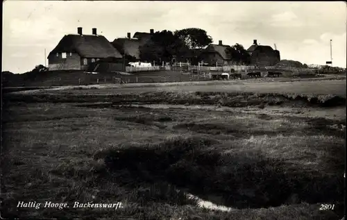 Ak Hallig Hooge in Nordfriesland, Backenswarft