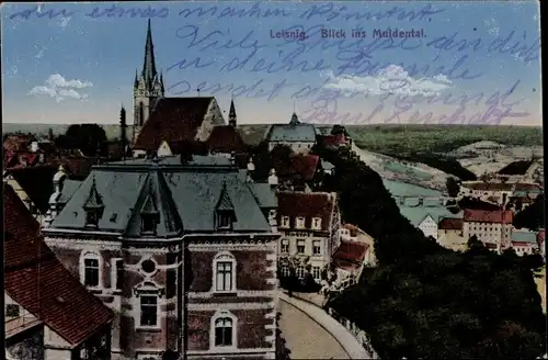 Ak Leisnig in Sachsen, Blick ins Muldental, Teilansicht