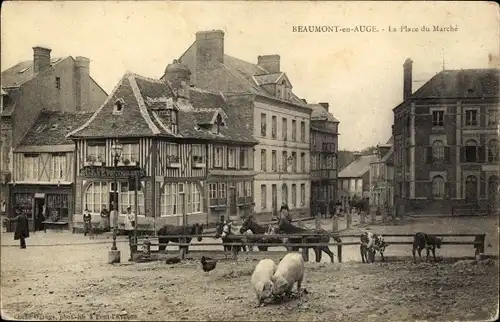 Ak Beaumont en Auge Calvados, La Place du Marche, Schweine, Cafe