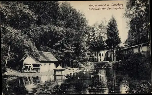 Ak Liegau Augustusbad Radeberg in Sachsen, Ententeich, Genesungsheim