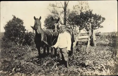 Foto Ak Deutscher Soldat mit zwei Pferden