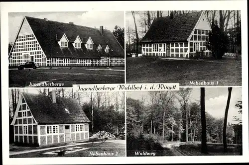 Ak Wingst im Kreis Cuxhaven, Jugendherberge Waldhof, Nebenhaus, Waldweg