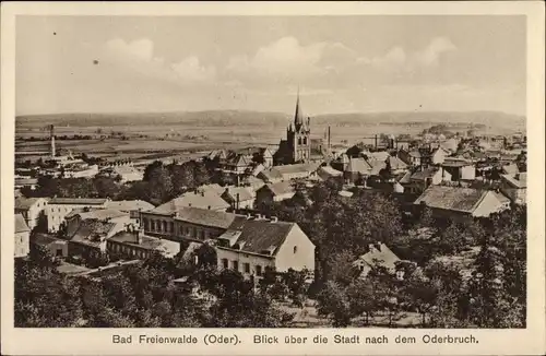 Ak Bad Freienwalde an der Oder, Stadtübersicht mit Oderbruch