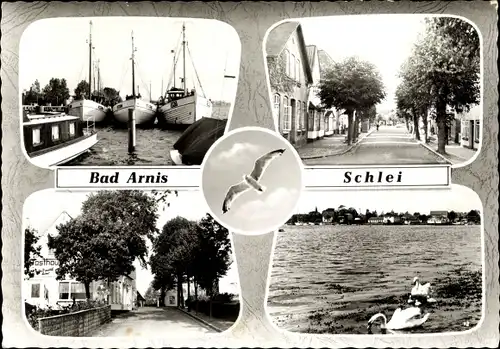 Ak Bad Arnis an der Schlei, Hafenpartie, Schwäne, Straßenansichten