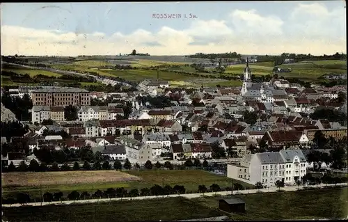 Ak Roßwein in Sachsen, Gesamtansicht