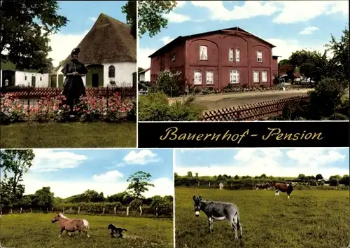 Ak Huje in Schleswig Holstein, Bauernhof Pension, Ponys, Esel