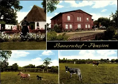 Ak Huje in Schleswig Holstein, Bauernhof Pension, Ponys, Esel