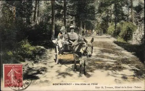 Ak Montmorency Val d’Oise, Une Allee en Foret