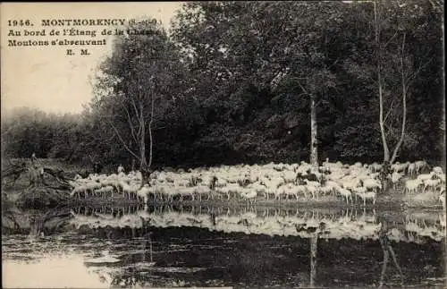 Ak Montmorency Val d’Oise, Au bord de l'Etang de la Chasse