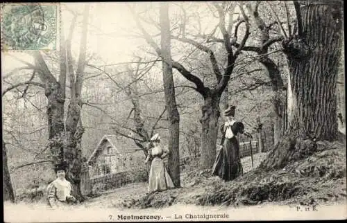 Ak Montmorency Val d’Oise, La Chataigneraie