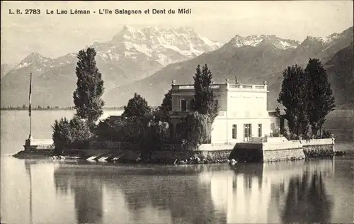 Ak Genf Kt Schweiz, Lac Leman, L'Ile Salagnon, Dent du Midi