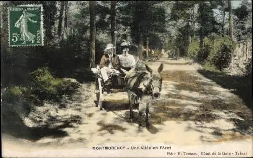 Ak Montmorency Val d’Oise, Une Allee en Foret