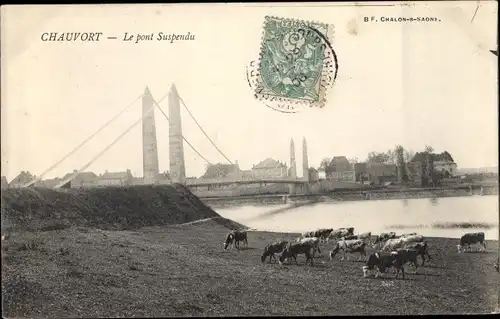 Ak Chauvort Allerey sur Saône Saône et Loire, Le pont Suspendu