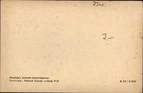 Ak Döbeln in Mittelsachsen, Rathaus, Geschke's, M307/Z3913