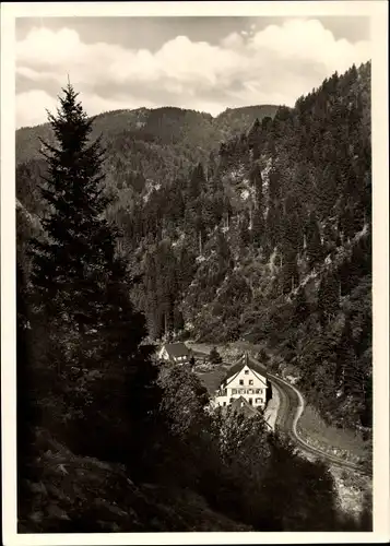 Ak Gremmelsbach Triberg im Schwarzwald, Gasthof Forelle, Wald, Berge