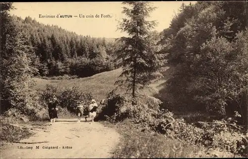 Ak Autun Saône-et-Loire, Un coin de Foret