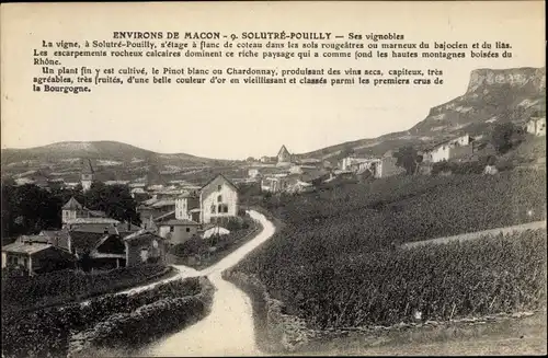 Ak Solutré Pouilly Saône et Loire, Ses vignobles