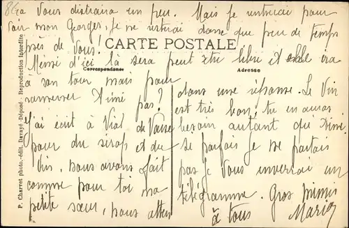 Ak Solutré Pouilly Saône et Loire, Ses vignobles