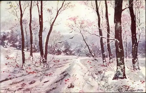 Künstler Ak Winterlandschaft, Bäume