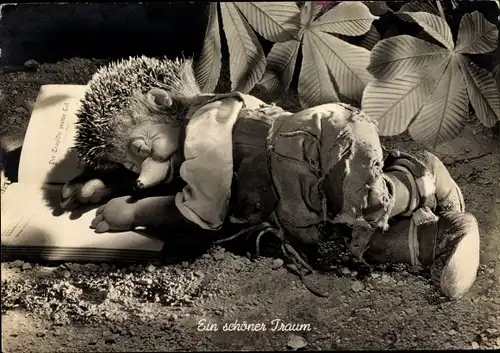 Ak Mecki der Igel, Ein schöner Traum