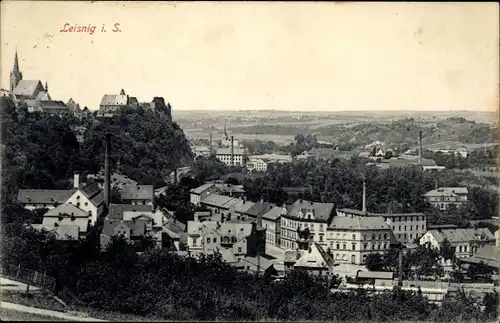 Ak Leisnig in Sachsen, Gesamtansicht