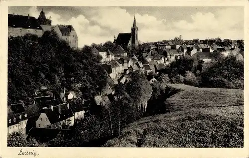 Ak Leisnig in Sachsen, Teilansicht