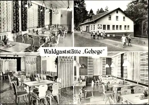 Ak Brotterode Trusetal in Thüringen, Waldgaststätte Gehege, Innen und Außen