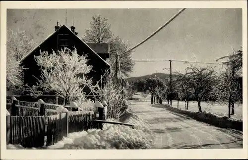 Ak Jonsdorf in Sachsen, Winteransicht mit Hochwald