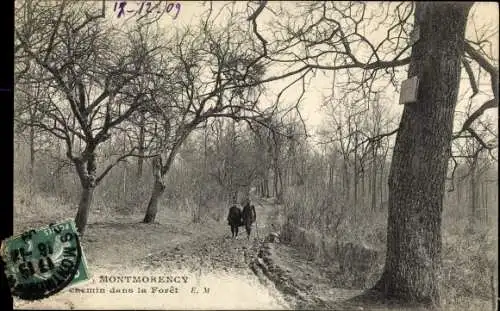 Ak Montmorency Val d’Oise, Chemin dans la Foret