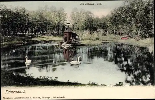 Ak Schwabach in Mittelfranken Bayern, Im unteren Park, Wasserpartie, Schwäne
