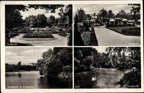 Ak Chemnitz in Sachsen, Rosarium, Stadtpark, Flughafen, Schwan