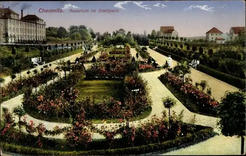 Ak Chemnitz in Sachsen, Rosarium im Stadtpark