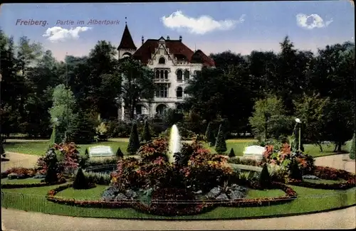 Ak Freiberg in Sachsen, Partie im Albertpark