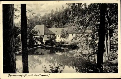 Ak Waldenburg in Sachsen, Blick auf die Glänzelmühle im Grünfelder Park