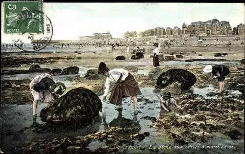 Ak Le Treport Seine Maritime, La peche aux crabes a maree basse