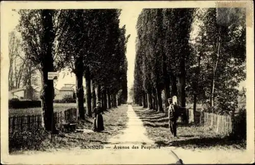 Ak Sannois Val d’Oise, Avenue des Peupliers