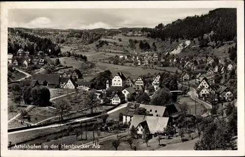 Ak Artelshofen Vorra an der Pegnitz, Gesamtansicht