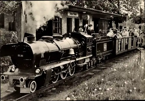 Ak Leipzig in Sachsen, Pioniereisenbahn, Volkspark Auensee