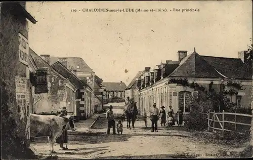 Ak Chalonnes sous le Lude Maine-et-Loire, Rue principale, Kuh