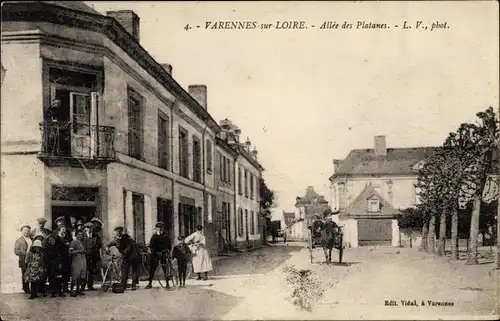 Ak Varennes sur Loire Maine et Loire, Allee des Platanes