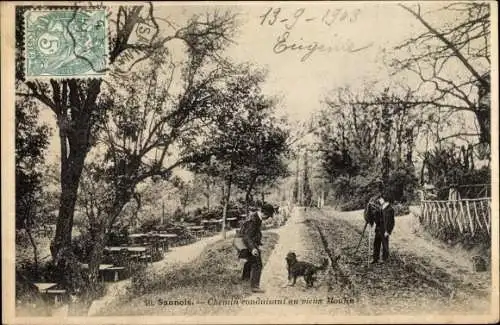 Ak Sannois Val d’Oise, Chemin conduisant au vieux Moulin