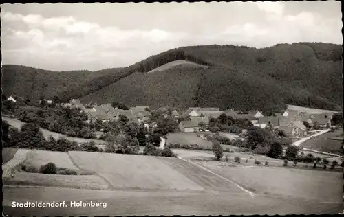 Ak Stadtoldendorf in Niedersachsen, Panorama, Holenberg