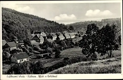 Ak Wieda Walkenried Harz, Blick vom Goldkopf auf den Ort