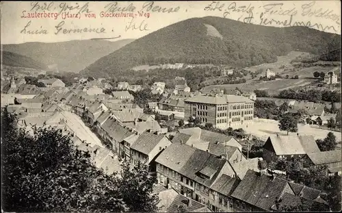 Ak Bad Lauterberg im Harz, Teilansicht