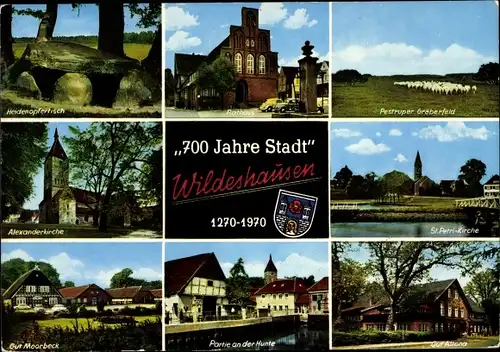 Wappen Ak Wildeshausen in Oldenburg, Rathaus, Kirchen, Gut Altona, Gut Moorbeck, Schafe