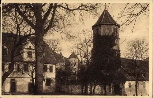Ak Hirsau Calw in Baden Württemberg, Kloster-Ruine