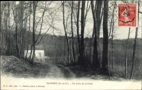 Ak Taverny Val d'Oise, Un Coin de la Forêt, Waldpartie